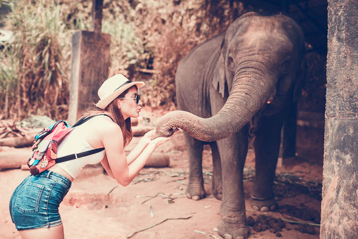 girl playing with elephant in chiang mai