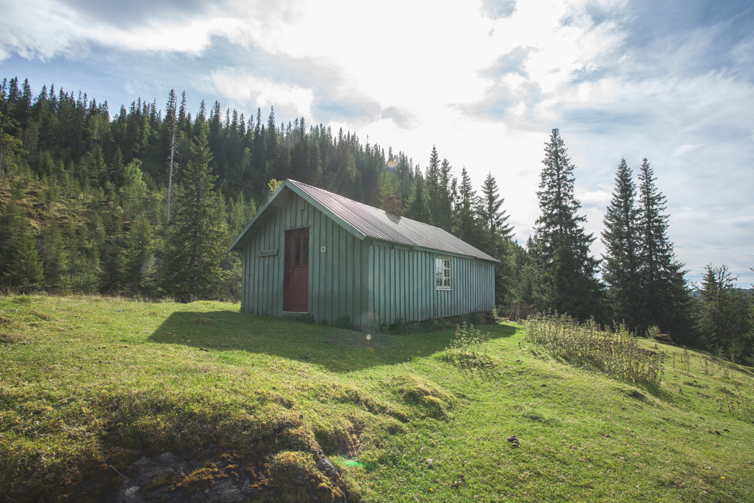 cabin in the woods travelling around norway