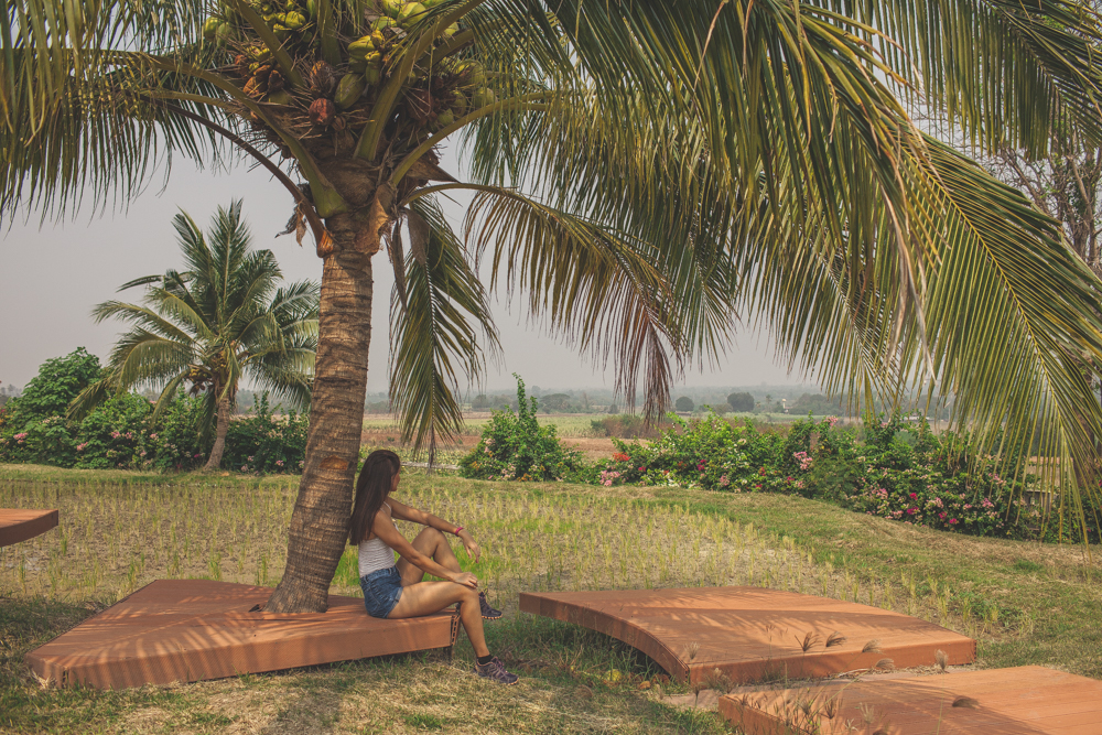girl sitting under a palmtree
